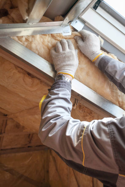 Best Commercial Insulation in Swepsonville, NC